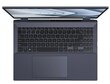 Asus ExpertBook B5 OLED B5602CVA-L20489X Star Black kaina ir informacija | Nešiojami kompiuteriai | pigu.lt