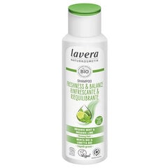 Šampūnas Lavera Freshness & Balance, 250 ml kaina ir informacija | Šampūnai | pigu.lt