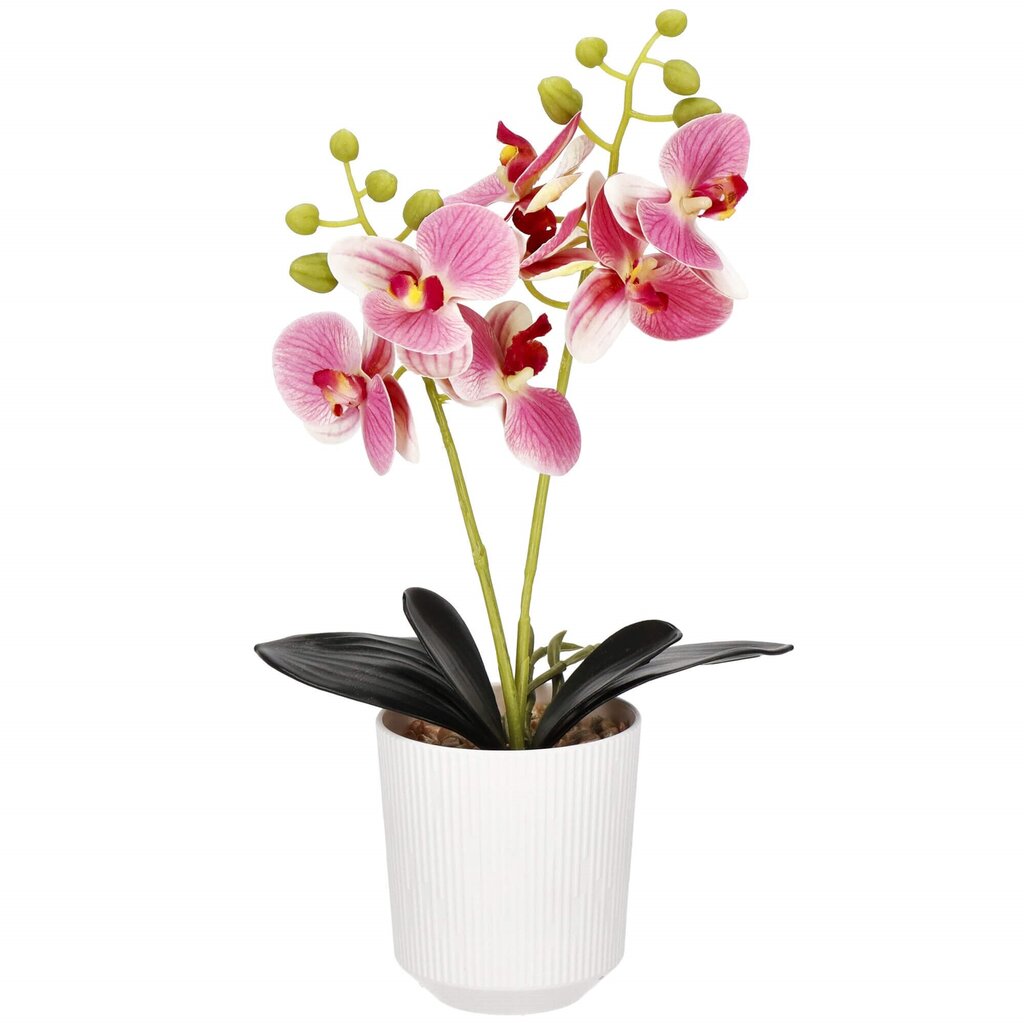 Dirbtinė gėlė Springos HA7424 kaina ir informacija | Dirbtinės gėlės | pigu.lt