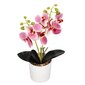 Dirbtinė gėlė Springos HA7424 kaina ir informacija | Dirbtinės gėlės | pigu.lt