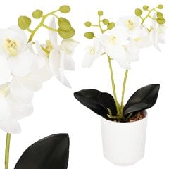 Искусственная орхидея Спрингос HA7423 цена и информация | Искусственные цветы | pigu.lt