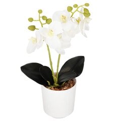 Искусственная орхидея Спрингос HA7423 цена и информация | Искусственные цветы | pigu.lt