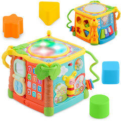 Развивающая игрушка Кубик цена и информация | Игрушки для малышей | pigu.lt
