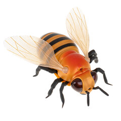 Наземная пчела с дистанционным управлением цена и информация | Игрушки для мальчиков | pigu.lt