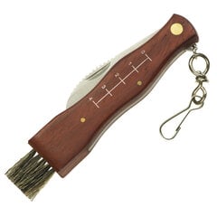 Kišeninis peilis su dėklu, 21x8x11cm, rudas kaina ir informacija | Turistiniai peiliai, daugiafunkciniai įrankiai | pigu.lt