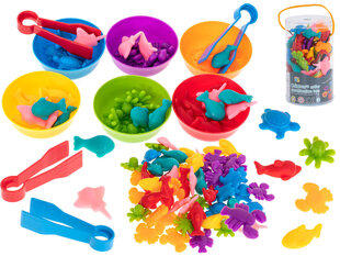Edukacinės Montessori priemonės Gyvūnai, 36d kaina ir informacija | Lavinamieji žaislai | pigu.lt