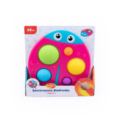 Sensorinis žaislas Little Learner Pop It Boružėlė kaina ir informacija | Žaislai kūdikiams | pigu.lt