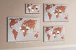Smeigtukų lenta Pasaulio plytų žemėlapis, 100x70 cm цена и информация | Kanceliarinės prekės | pigu.lt