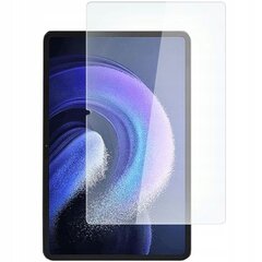 Защитное стекло дисплея Hofi Glass Pro+ Samsung X210/X215/X216 Tab A9 Plus 11.0 цена и информация | Аксессуары для планшетов, электронных книг | pigu.lt