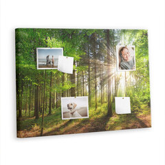 Smeigtukų lenta Rytų miškas, 100x70 cm kaina ir informacija | Kanceliarinės prekės | pigu.lt