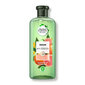Šampūnas Herbal Essences Grapefruit & Mint, Baltųjų greipfrutų ir mėtų, 400 ml kaina ir informacija | Šampūnai | pigu.lt