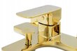 Vonios maišytuvas Caro Cubic auksinis цена и информация | Vandens maišytuvai | pigu.lt