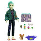 Lėlė su priedais Monster High Deuce Gorgon kaina ir informacija | Žaislai mergaitėms | pigu.lt