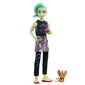 Lėlė su priedais Monster High Deuce Gorgon kaina ir informacija | Žaislai mergaitėms | pigu.lt