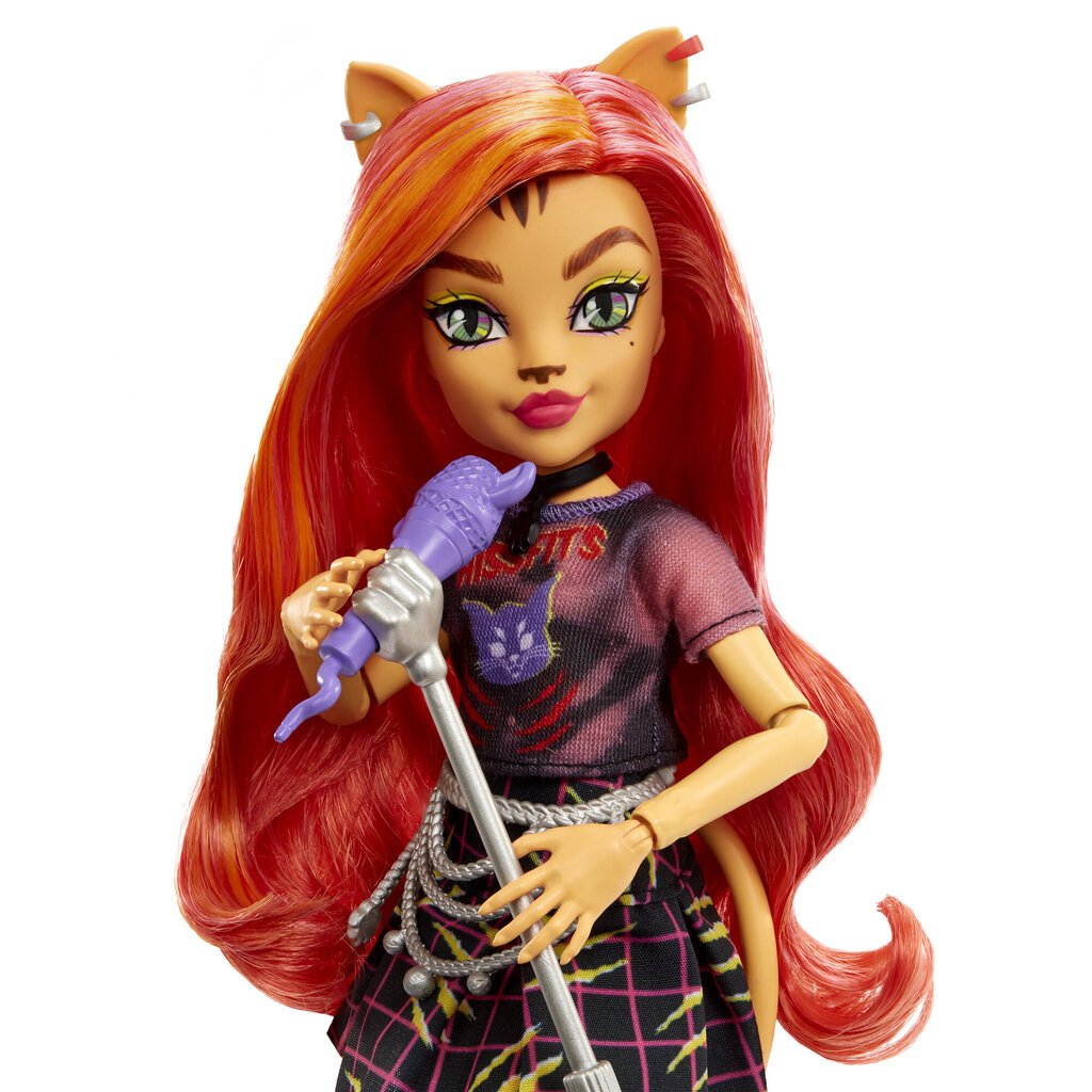 Lėlė dainininkė su aksesuarais Monster High kaina ir informacija | Žaislai mergaitėms | pigu.lt