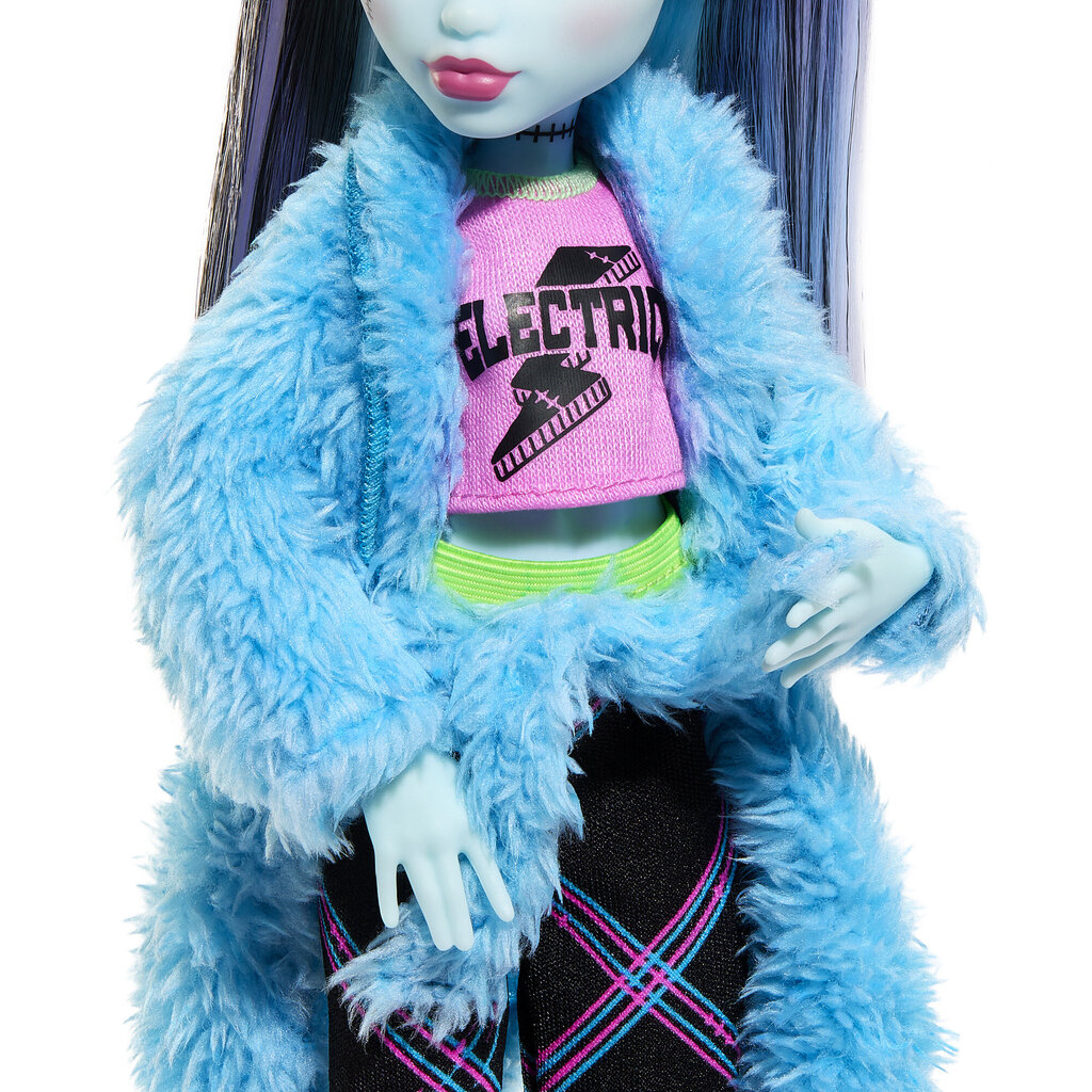 Lėlė su priedais Monster High Creepover Party цена и информация | Žaislai mergaitėms | pigu.lt