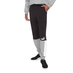 Штаны PUMA ESS+ Block Sweatpants TR 848007014064535853421 цена и информация | Мужская спортивная одежда | pigu.lt