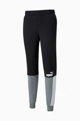 Штаны PUMA ESS+ Block Sweatpants TR 848007014064535853421 цена и информация | Мужская спортивная одежда | pigu.lt