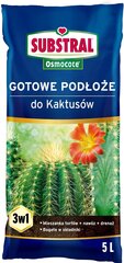 Kaktusų Gruntas 5 l kaina ir informacija | Substral Sodo prekės | pigu.lt