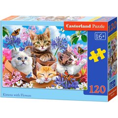 Пазл "Котята и цветы" Castorland, 120 деталей цена и информация | Пазлы | pigu.lt
