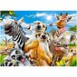 Dėlionė Afrikos gyvūnai Castorland, 260 d. kaina ir informacija | Dėlionės (puzzle) | pigu.lt