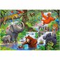 Dėlionė džiunglių gyvūnai Castorland, 40 d. цена и информация | Dėlionės (puzzle) | pigu.lt