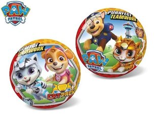 мяч paw patrol 23 см цена и информация | Надувные и пляжные товары | pigu.lt