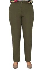 Классические женские брюки на молнии. N208-HA-44 цена и информация | Брюки | pigu.lt