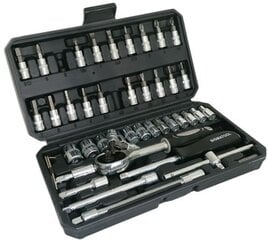 Набор инструментов Биты-головки 1/4" 46 штук в чемодане цена и информация | Механические инструменты | pigu.lt
