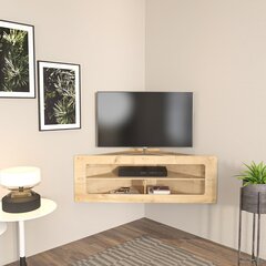 TV staliukas Asir, 120x40x45 cm, rudas kaina ir informacija | TV staliukai | pigu.lt