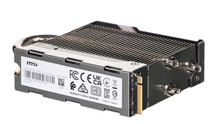 MSI SPATIUM M570 PRO 2TB PCIe 5.0 NVMe M.2 FROZR (S78-440Q670-P83)SSD kaina ir informacija | Vidiniai kietieji diskai (HDD, SSD, Hybrid) | pigu.lt