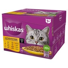 Мокрый корм для кошек Whiskas Poultry Turkey Duck Chicken в соусе 24х85г цена и информация | Консервы для кошек | pigu.lt