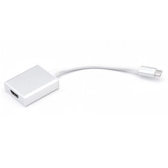 iLike HD2 USB-C Kištukas į HDMI 4K Mergaitės Garso ir Vaizdo Kabelio Adapterį 10cm - Konverteris Balta (OEM) kaina ir informacija | Adapteriai, USB šakotuvai | pigu.lt