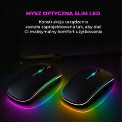 Беспроводная оптическая мышь с эстетически привлекательной светодиодной RGB-подсветкой цена и информация | Мыши | pigu.lt