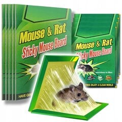 HomeWorld pelių gaudyklės, 10 vnt. kaina ir informacija | Graužikų, kurmių naikinimas | pigu.lt