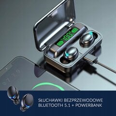 Беспроводные наушники - вкладыши BLUETOOTH 5.1 С POWERBANK цена и информация | Наушники | pigu.lt