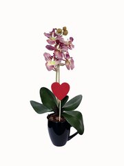 Dirbtinė orchidėja Mažytė, 35 cm kaina ir informacija | Dirbtinės gėlės | pigu.lt