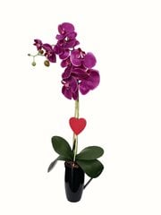 Искусственная орхидея Венера, 55см цена и информация | Искусственные цветы | pigu.lt