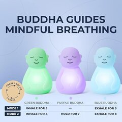 Инструмент для медитации Дыхание Будды цена и информация | Настольные светильники | pigu.lt
