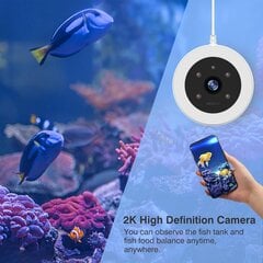 Automatinė žuvų maitinimo terpė su kamera Dark Red Brand, 230ml kaina ir informacija | Šėryklos | pigu.lt