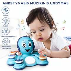 Muzikinis žaislas Aštuonkojis, mėlynas цена и информация | Развивающие игрушки | pigu.lt