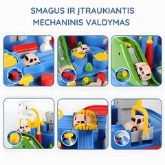 Žaislinė automobilių trasa su mašinėlėmis kaina ir informacija | Žaislai berniukams | pigu.lt