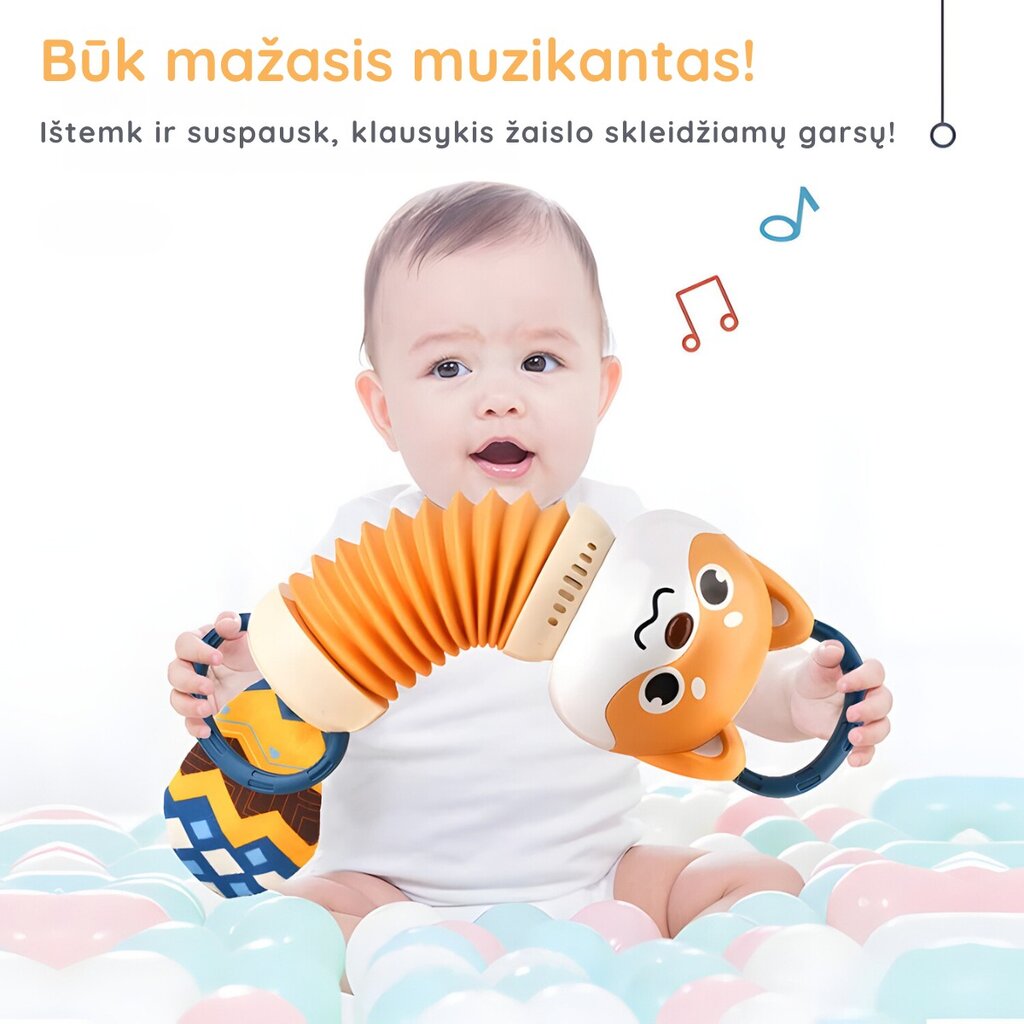 Muzikinis žaislas Akordeonas, Šuo kaina ir informacija | Žaislai kūdikiams | pigu.lt
