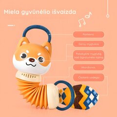 Muzikinis žaislas Akordeonas, Šuo цена и информация | Игрушки для малышей | pigu.lt