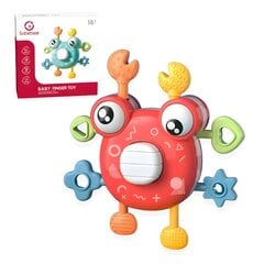 Smulkiosios motorikos sensorinis žaislas, raudonas kaina ir informacija | Žaislai kūdikiams | pigu.lt