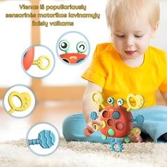 Smulkiosios motorikos žaislas Krabas цена и информация | Игрушки для малышей | pigu.lt