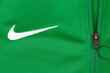 Džemperis vyrams Nike, žalias цена и информация | Džemperiai vyrams | pigu.lt