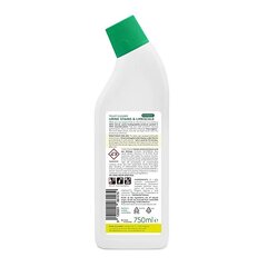 Planet Pure tualetų valiklis, 750 ml kaina ir informacija | Valikliai | pigu.lt