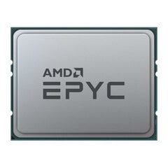 AMD Epyc 7351 Tray PS7371BDVGPAF kaina ir informacija | Procesoriai (CPU) | pigu.lt