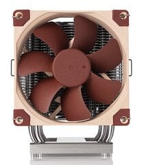 Noctua NH-U9 DX-4677 kaina ir informacija | Procesorių aušintuvai | pigu.lt